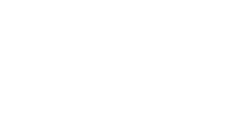 DE&S