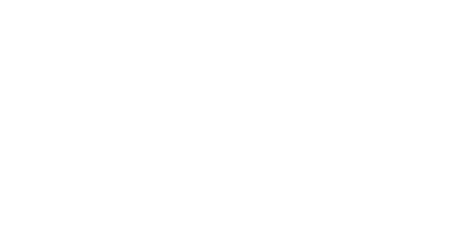 Essex County Council